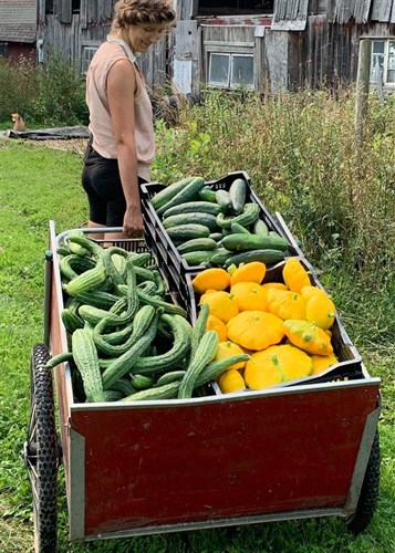 A "Fill your Own" CSA