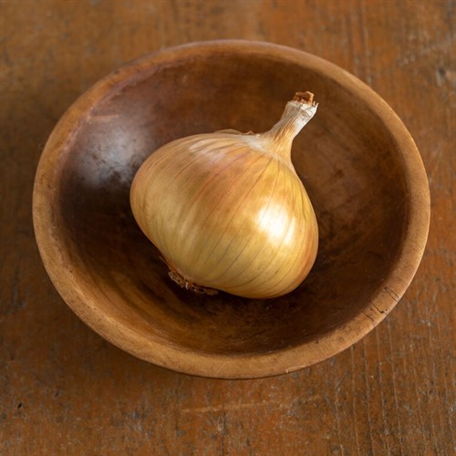 Onion - sweet