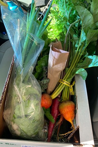 A "Classic" CSA Box: full of flavor and nutrition!